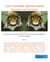 Les mondes darwiniens t.1 - l'évolution de l'évolution