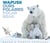 Wapusk ours polaires : polar bear (3e édition)