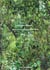 Thomas struth - new pictures from paradise