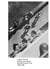 A subversive gleam : Max Bill and his time 1908-1939