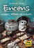 Encens - usage, effets, rituels