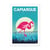 Affiche 50x70 «la camargue, flamingos»