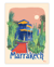 Affiche Marrakech Le jardin majorelle - 50 x 70 cm