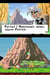 Bob l'éponge et ses amis attaque sur l'île du volcan (jeu)