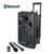 Boost - Enceinte portable 100W+ 2 micros