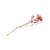 Bouquet de gypsophiles séchées - rose