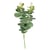 Branche d'eucalyptus Rayher - 34 cm