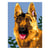 Kit canevas - 15x20cm - Berger allemand
