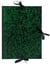 Cart Dessin Vert 67X94 Ruban