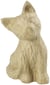 Chaton 15,5cm