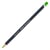Crayon de couleur Derwent - Procolour - herbe verte