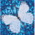Kit Diamond painting - Diamond Dotz - Fleurs et papillon blanc