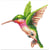 Kit Diamond painting - Diamond Dotz - Le colibri