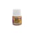 Peinture Déco nacré Pébéo 45 ml - Or