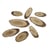 Disques de bois ovales - 4-8 cm