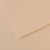 Feuille MI-TEINTES® Canson - 50 x 65 cm - 160g/m² - coquille