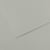 Feuille MI-TEINTES® Canson - 50 x 65 cm - 160g/m² - gris ciel