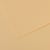 Feuille MI-TEINTES® Canson - 50 x 65 cm - 160g/m² - lichen