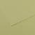 Feuille MI-TEINTES® Canson - 50 x 65 cm - 160g/m² - vert amande
