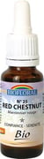 Fleurs de bach bio n 25 red chestnut - 20ml
