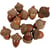 Lot de 12 glands Créativ Company - 15-20 mm