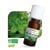 Huile essentielle de menthe poivrée bio - 10 ml