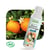 Hydrolat de fleur d'oranger - 100 ml