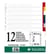 INTERCALAIRES POLYPRO COULEUR INTERCALAIRES POLYPRO COULEUR A4 12 POSI