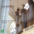 Messe Pour Les Couvents