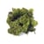 Mousse d'Islande - Rayher - Vert clair - 30 g