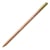 Crayon Pastel olive brunâtre 50% n°736 - Caran d'Ache