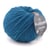 Pelote de fil à tricoter 100% laine - Plassard - Extra Wool - Bleu canard 306