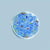 Perles en verre rubis irisée 6 mm