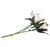 Tige rose - blanc - 15 cm