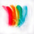 Set de 40 plumes multicolores - Créalia - 8 à 12 cm