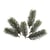 Lot de 6 rameaux de sapin Rayher - 7-9 cm