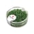 Perles de rocaille - garniture argent - 2.6 mm - vert