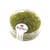 Rocailles Transp 2.6Mm Ver Rocailles Transp 2.6Mm Ver
