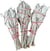 Sauge blanche californie Tulipe - 20g