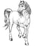 Tampon Bois Cheval Sautillant Tampon Bois Cheval Sautillant