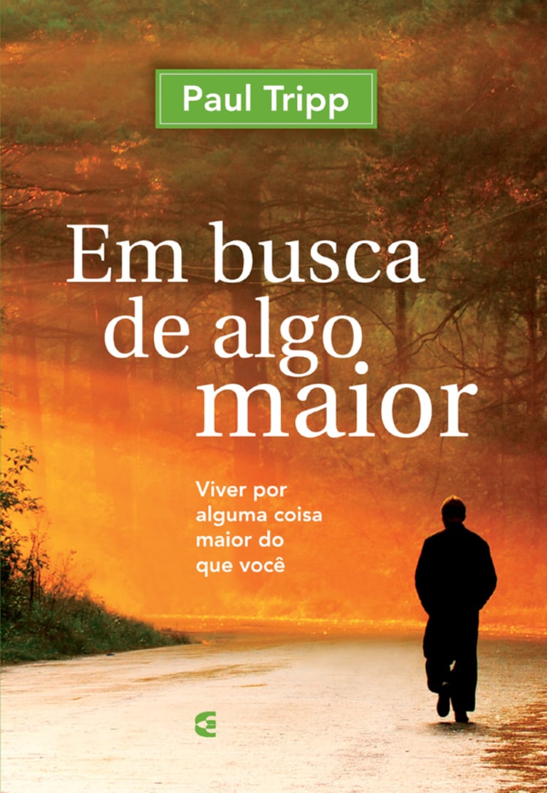 Em busca de algo maior - 9788576229179 | Cultura