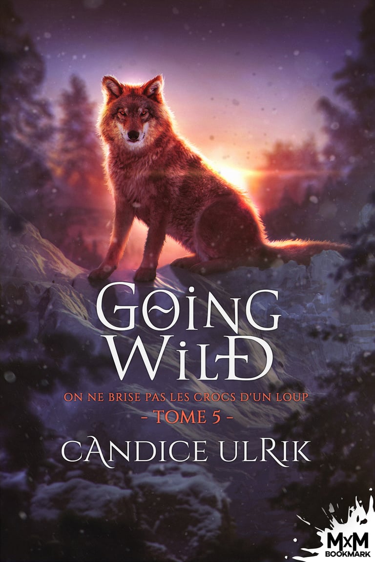 Ne Vous Promenez Pas Dans Les Bois On ne brise pas les crocs d'un loup - Going Wild, T5 - 3612221387432