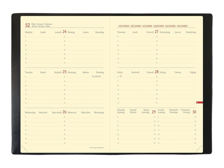 Quo Vadis - Agenda Année Scolaire - 2025-2026 - Exécutif Septembre - Semainier Planning - Français - Catalina Estrada - Multicolore - 13 Mois De Août à Août - 16x16 Cm