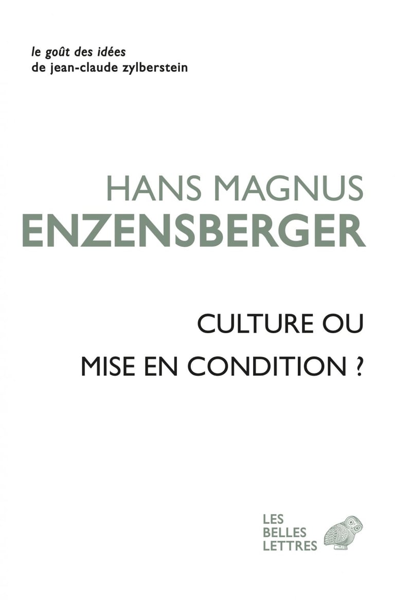 134 Fiches Techniques Et Idées Créatives Gratuites Culture ou mise en condition ? - Essais : Hans Magnus Enzensberger -  9782251903965 - Ebook littérature | Cultura
