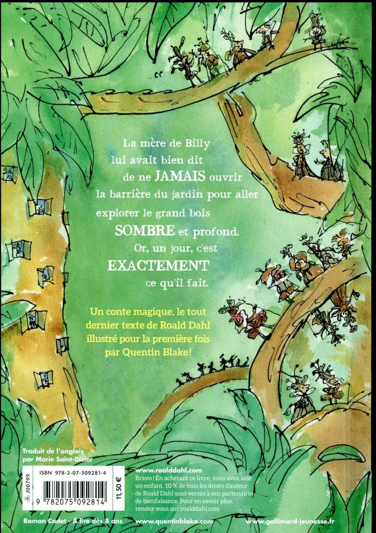 Billy et les minuscules Roald Dahl 2075092818 Romans pour enfants dès 9 ans Livres pour
