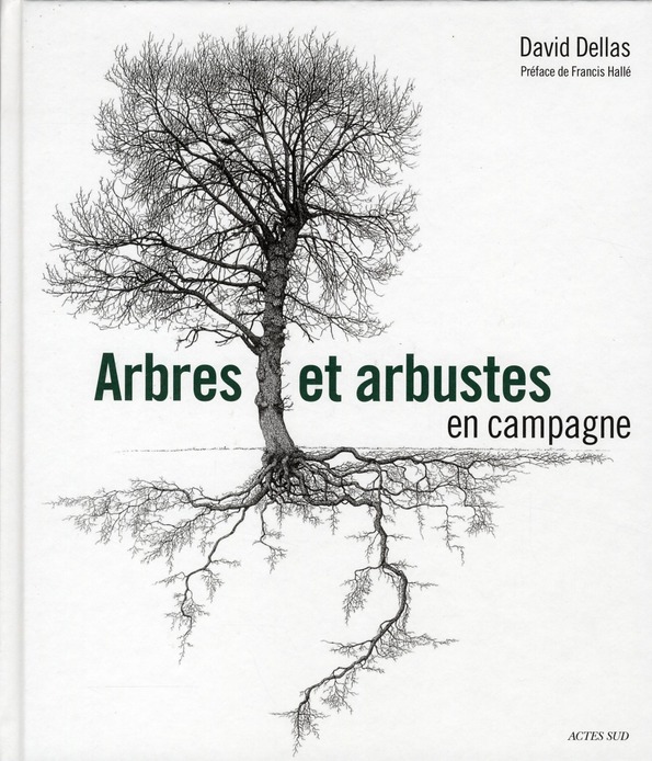 Arbres Et Arbustes En Campagne Guide Sur La Nature