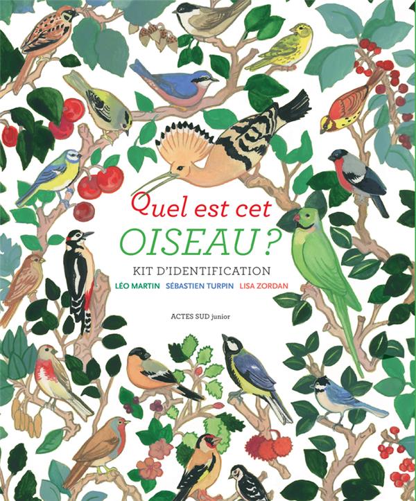 Quel est donc cet oiseau ? / Marc Vidal - Grandeur Nature