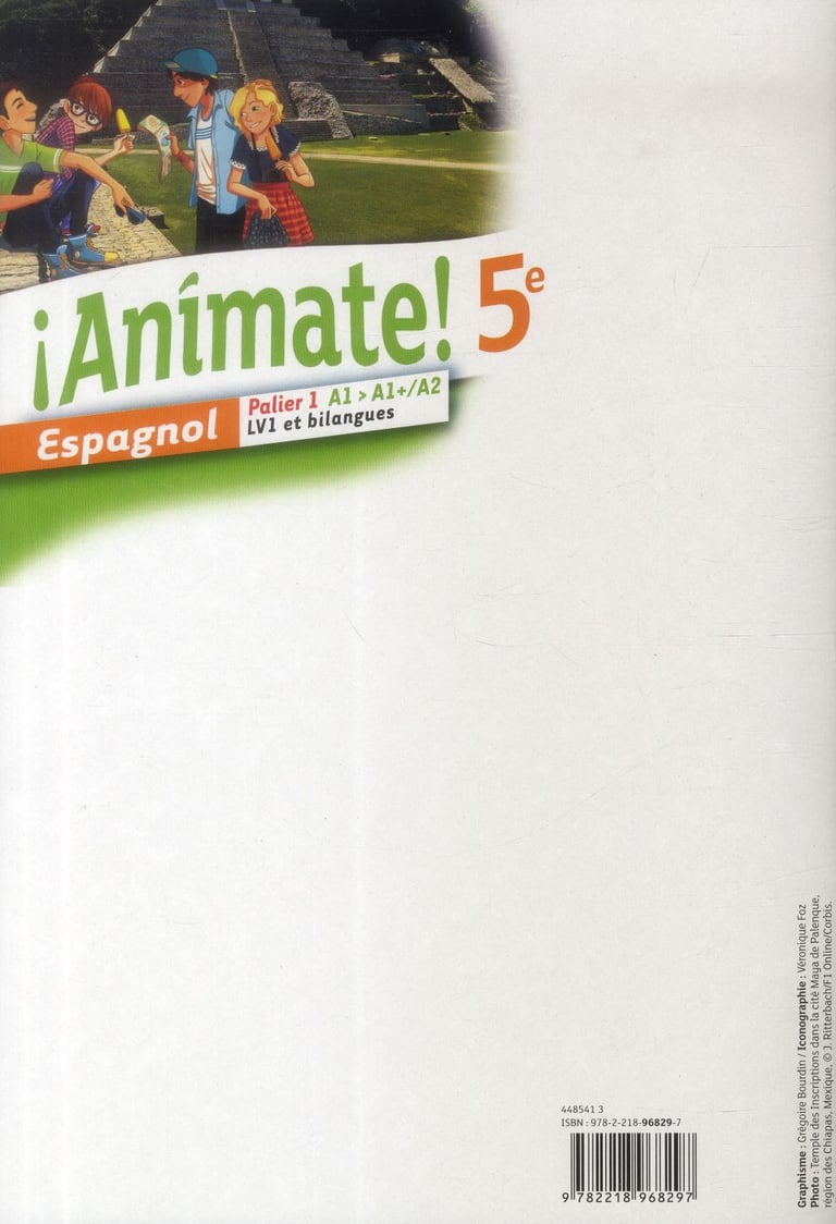 Cahier D activité Espagnol 5eme En Ligne Animate - espagnol - 5ème - palier 1 - a1>a1+/a2 - lv1 et bilangues - cahier  d'activités (édition 2014) : Collectif - 2218968290 - Manuels scolaires |  Cultura