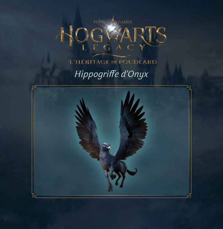 Hogwarts Legacy L