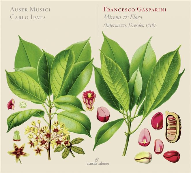 Mirena E Floro : Francesco Gasparini - Musique Classique - Genres Musicaux  | Cultura